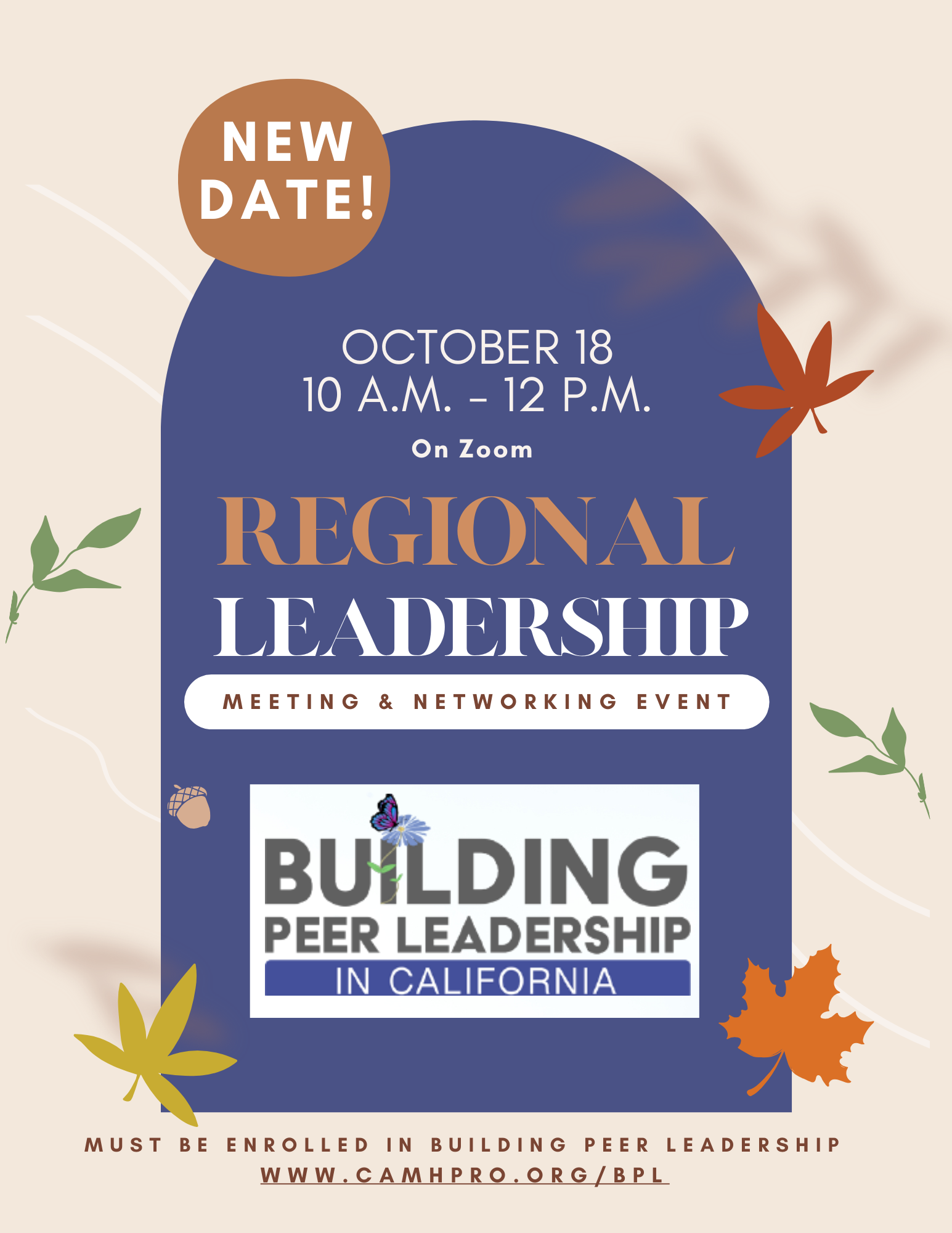 Regional Peer Leadership Meeting - Southern | CAMHPRO
